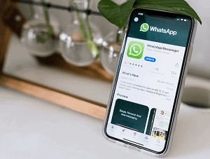 whatsapp conference-featured