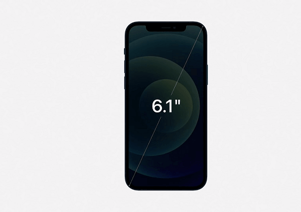 iPhone 12-Display Size